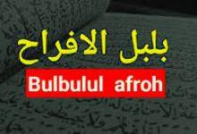Lirik Sholawat Bulbulul Afroh