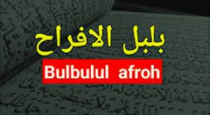 Lirik Sholawat Bulbulul Afroh