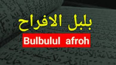 Lirik Sholawat Bulbulul Afroh