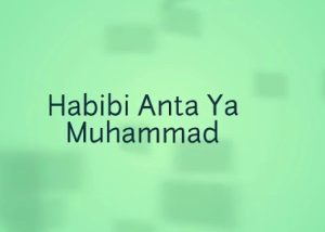 Lirik Habibi Anta Ya Muhammad
