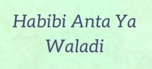 Lirik Habibi Anta Ya Waladi Dan Artinya Lengkap Dengan Tulisan Latin