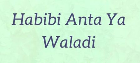Lirik Habibi Anta Ya Waladi Dan Artinya