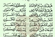 Lirik Hibbi Ya Rihal Imani