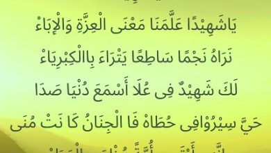 Lirik Sholawat Ya Syahidan Lengkap Dengan Arti Dan Teks Latin
