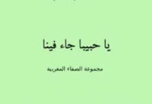 Lirik Ya Habiban Ja Afina Dan Artinya Serta Tulisan Latin
